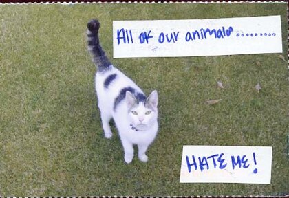 Post Secret Postcard