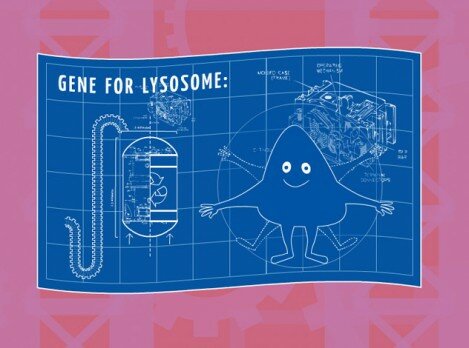 Hide and Seek: Genetics 101